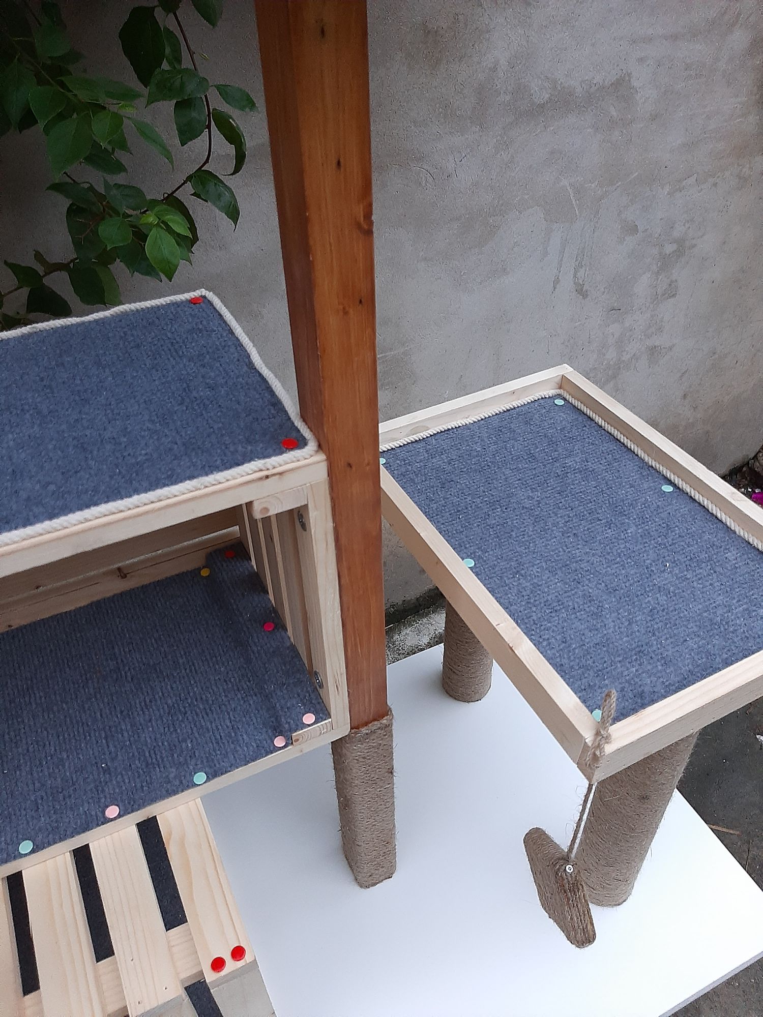 Nhà mèo, cat tree