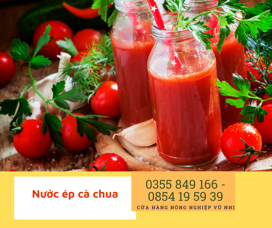 Hạt giống cà chua bi đỏ F1
