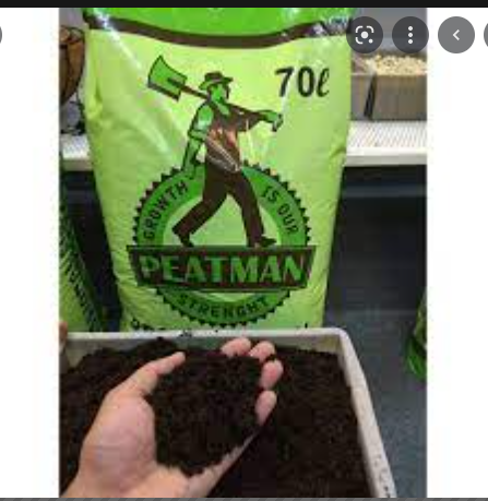 Đất Hữu Cơ Peatman ( Peat Moss) Chuyên Dùng Ươm Hạt Giống bao 70 lít (khoảng 15kg)