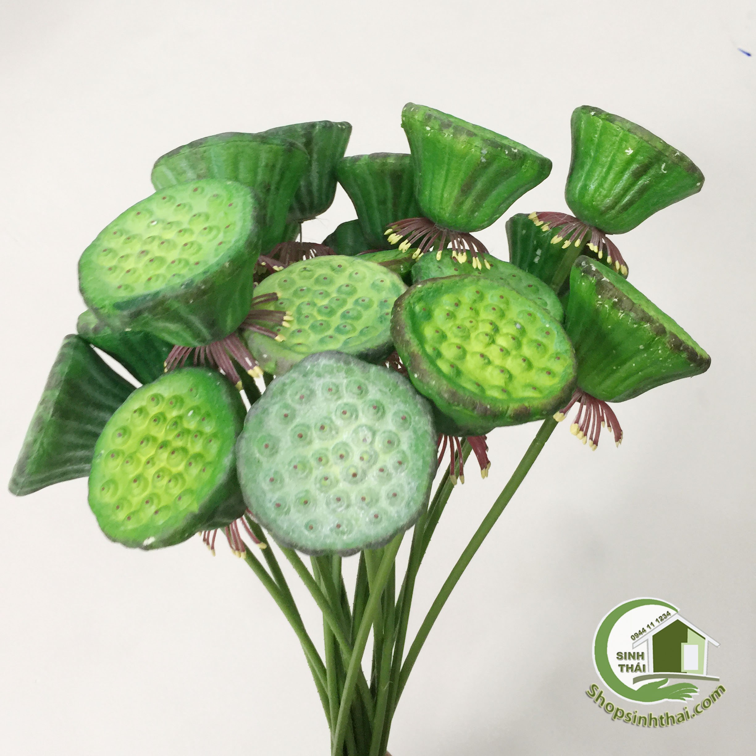 [HCM]Gương sen giả - gương sen cao cấp