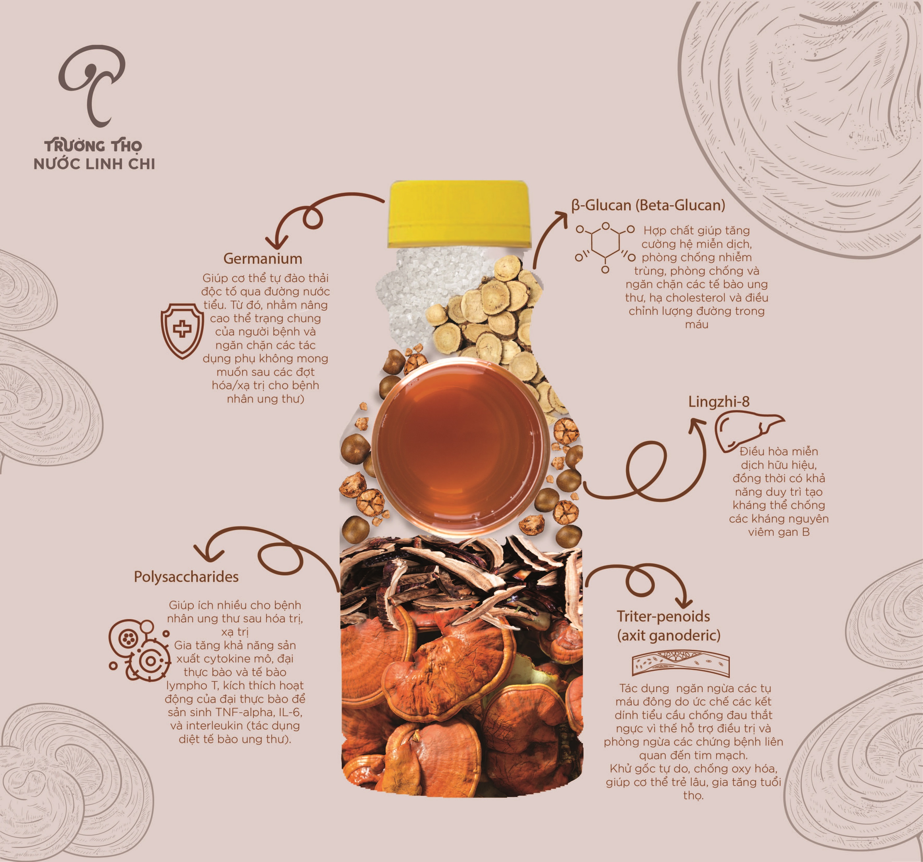 Nước Linh Chi Trường Thọ - Chai 390ml