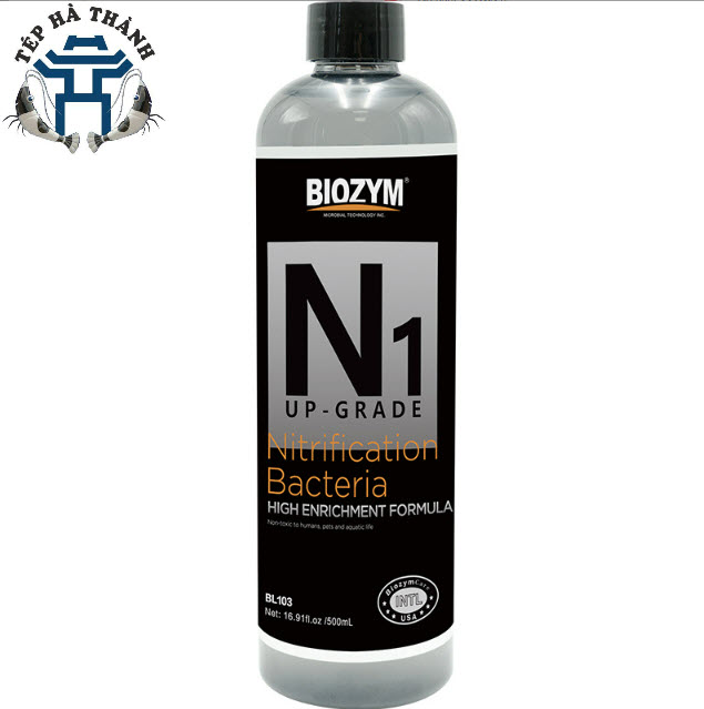 Vi sinh sống biozym n1 xử lý độc tố và làm trong nước cho bể cá cảnh, bể thủy sinh