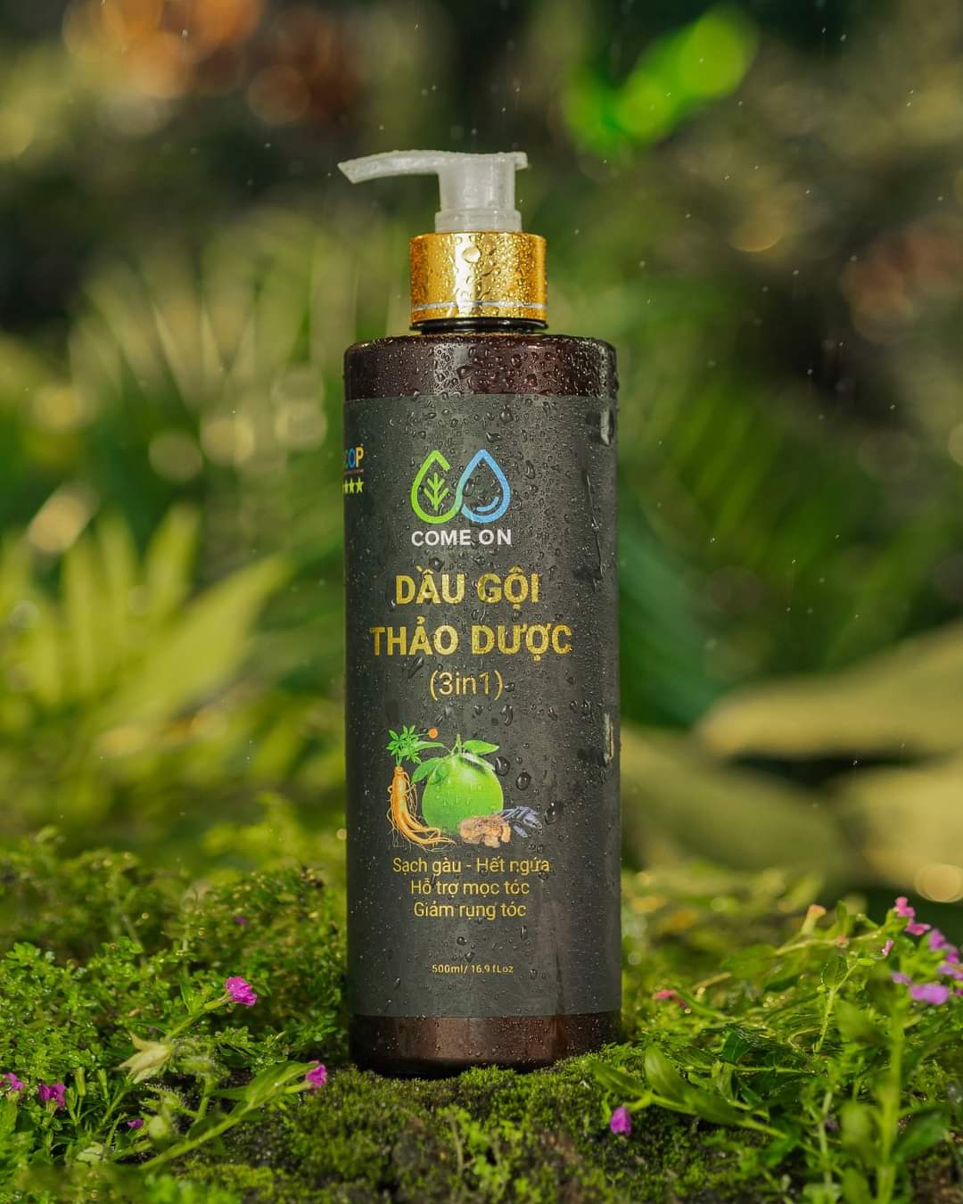 DẦU GỘI THẢO DƯỢC 3 trong 1