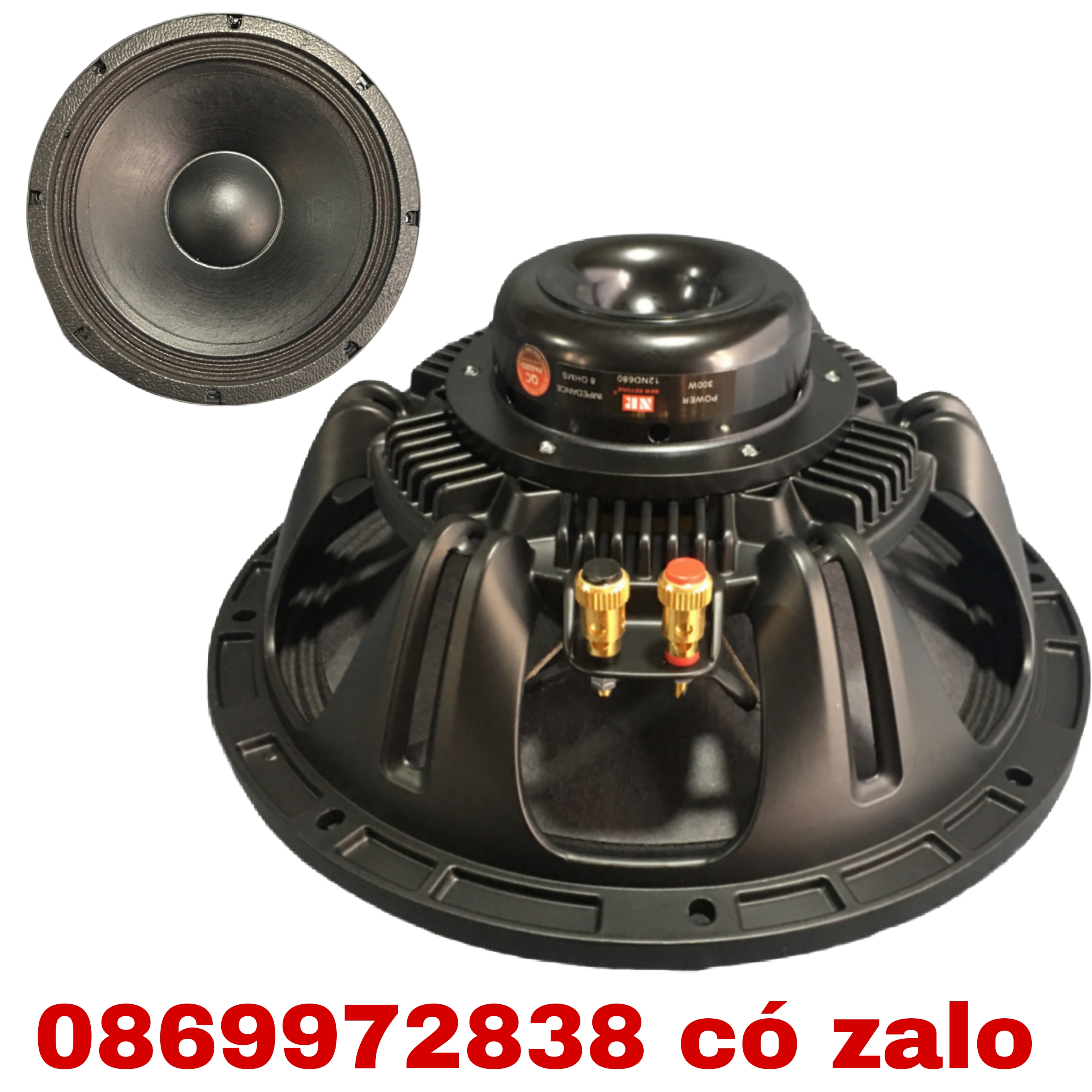 Loa bass 30 nr audio - hàng chính hãng - từ ne0 100 coil 76 dây dẹt - giá hai loa