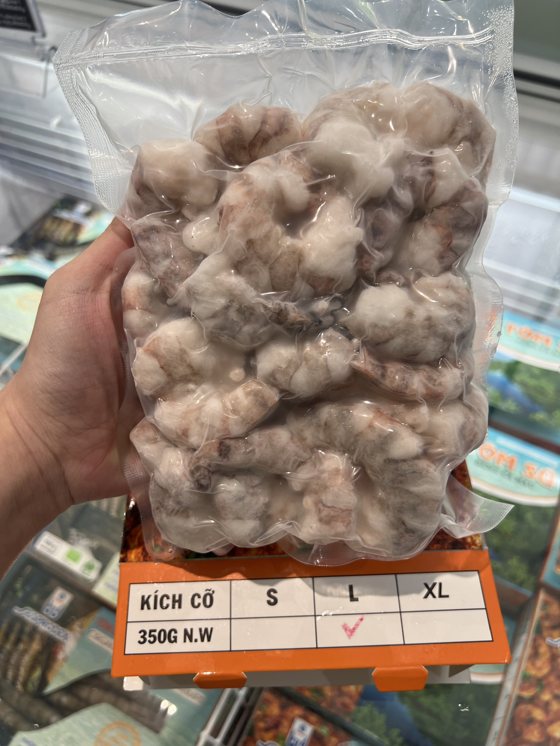 TÔM SÚ RỪNG CÀ MAU SEAPRODEX, KÍCH CỠ: L