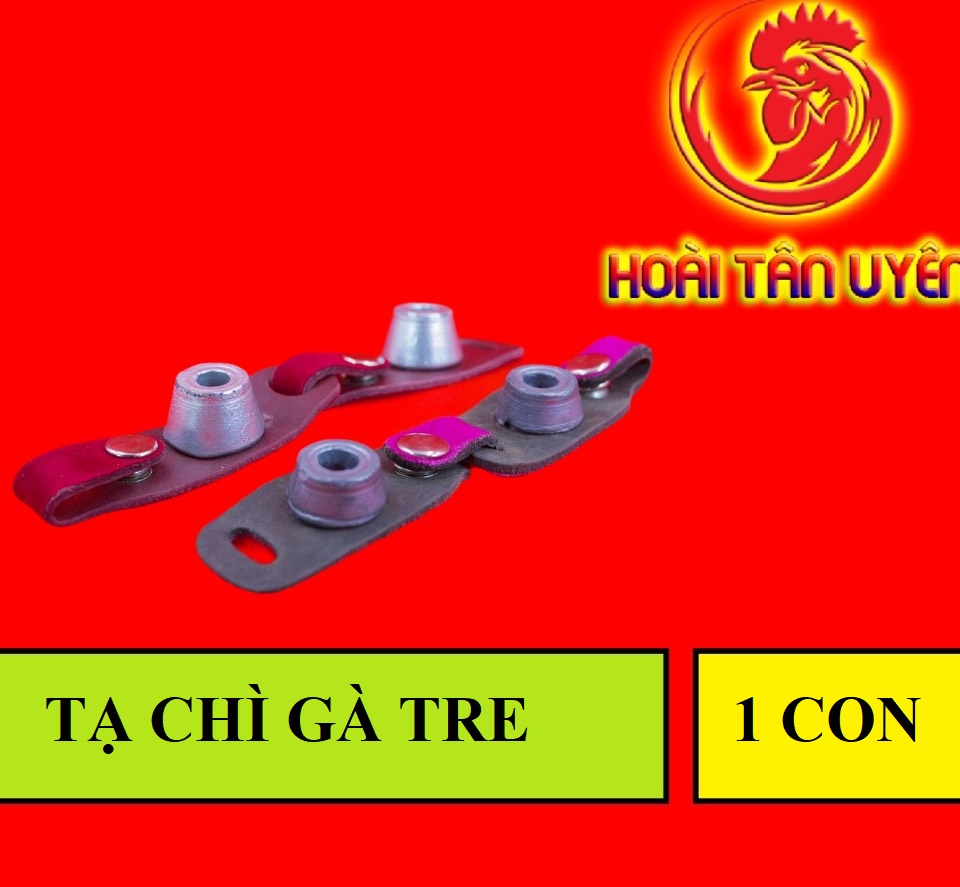 TẠ CHÌ tập luyện cho gà tre đá 1 BỘ 1 CON