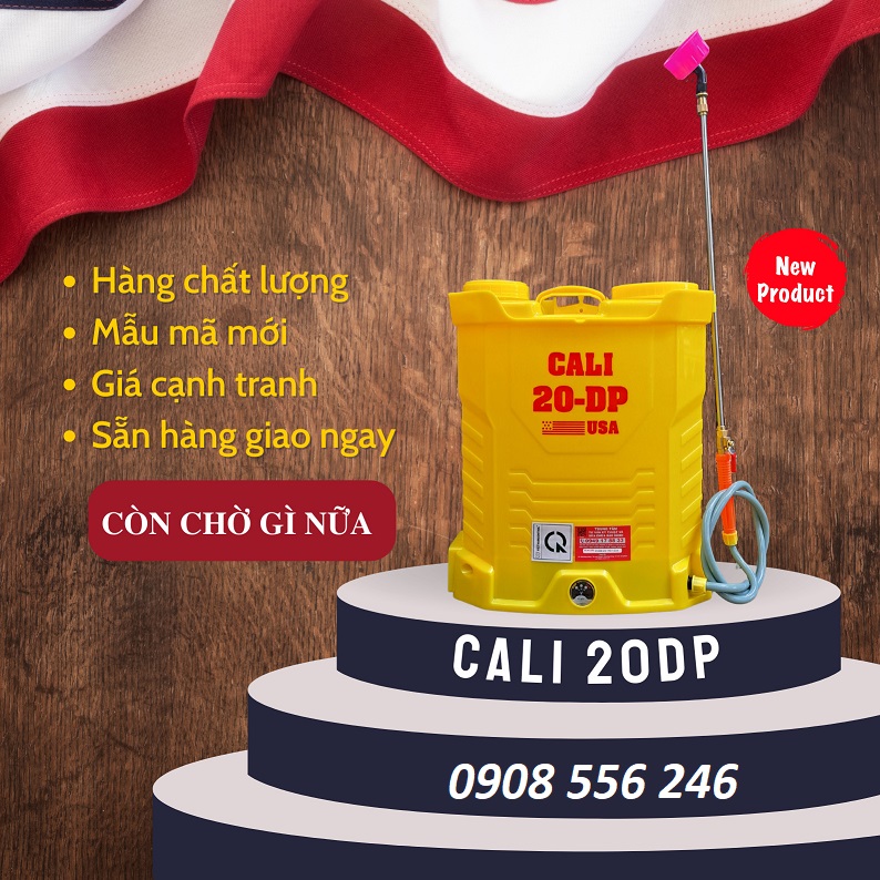 Bình xịt điện 2 bơm cacu lớn cali 20dp