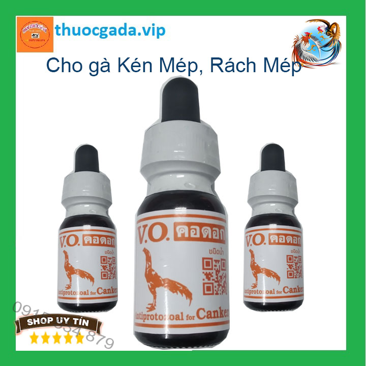 Kén mép VO Thái Lan