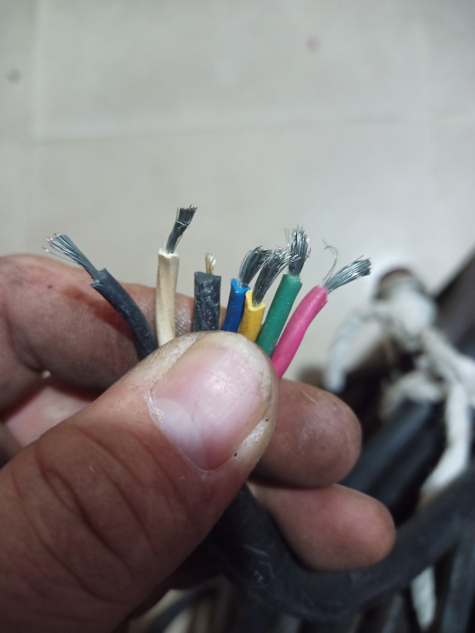 Dây điện nguồn hàng nhật bãi