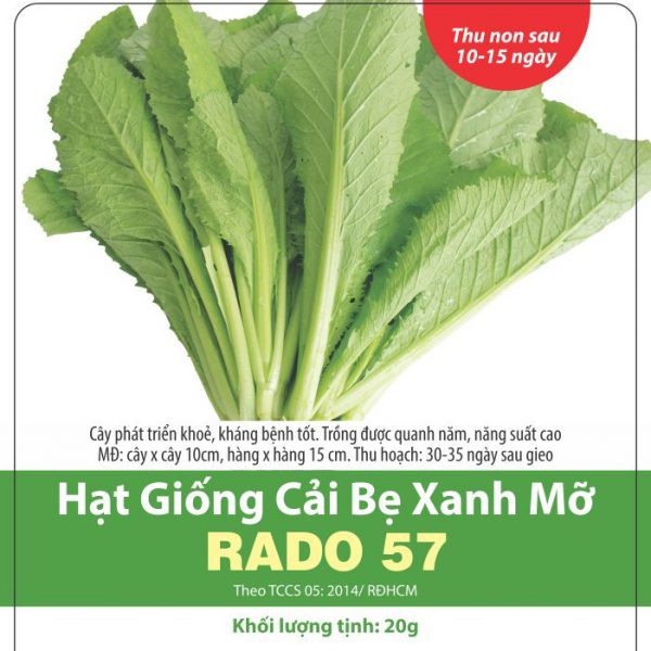 Hạt giống rau cải bẹ xanh - giống rau cải bẹ xanh -cây khỏe, khánh bệnh tốt, trồng quanh năm