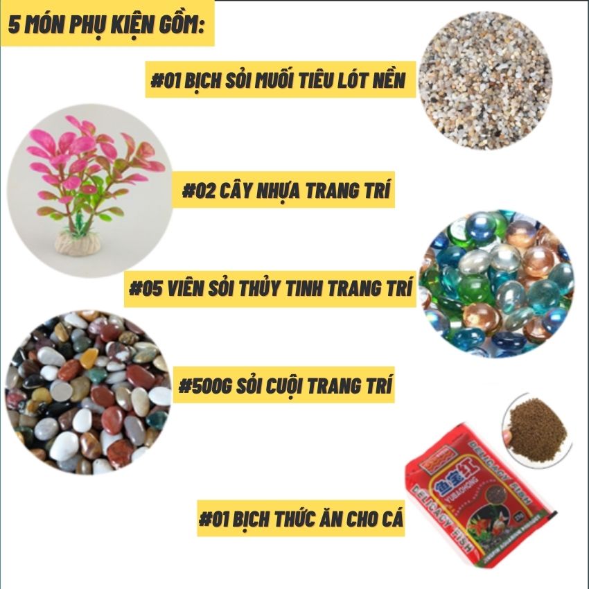 Bể cá mini để bàn COMBO ĐẦY ĐỦ Hồ Lọc Đèn kèm phụ kiện