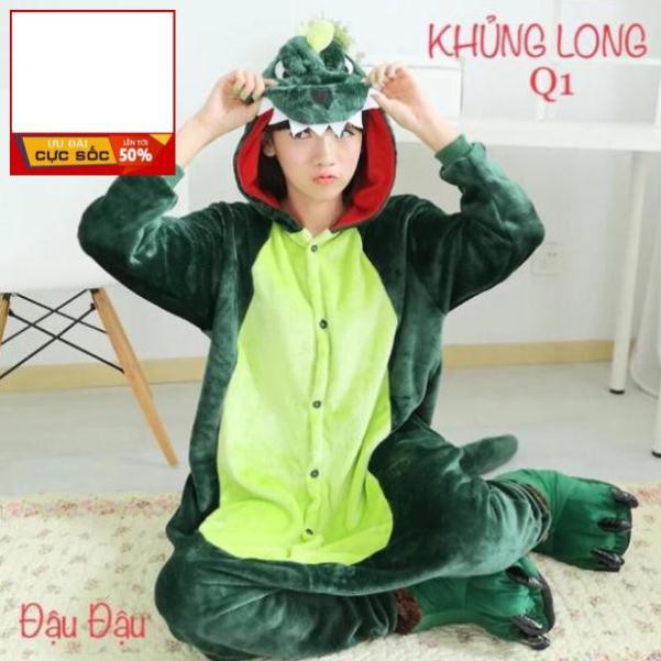 Bộ Đồ Hình Thú Người Lớn