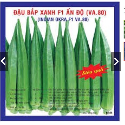 HạT GiốNg ĐậU BắP Xanh F1 ẤN Độ 10Gr