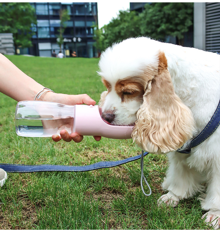 bình nước du lịch 350ml cho chó mèo - T3 PETS SHOP