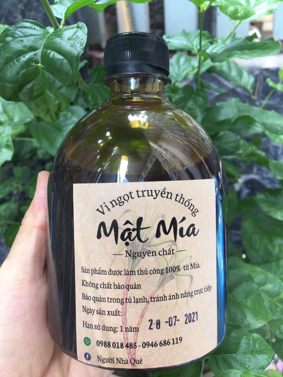 Mật mía nghệ an (combo 3Lít)