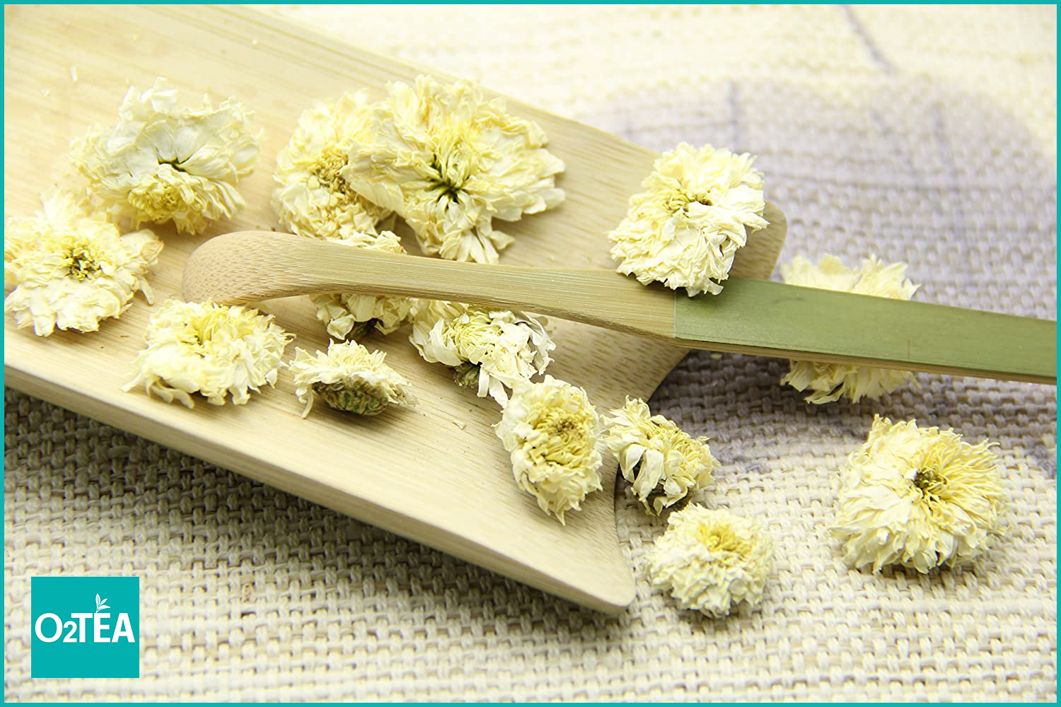 Trà Cúc Trắng 50g Túi Zip - Trà O2 TEA (White chrysanthemum tea)