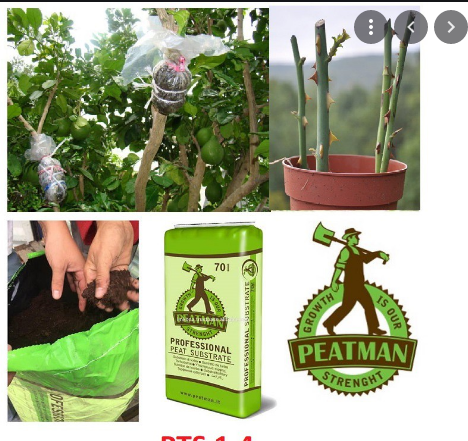 Đất Hữu Cơ Peatman Chuyên Dùng Ươm Hạt Giống bao 70 lít