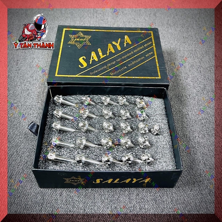 Bộ ốc lốc máy salaya satria raider fi 26 con