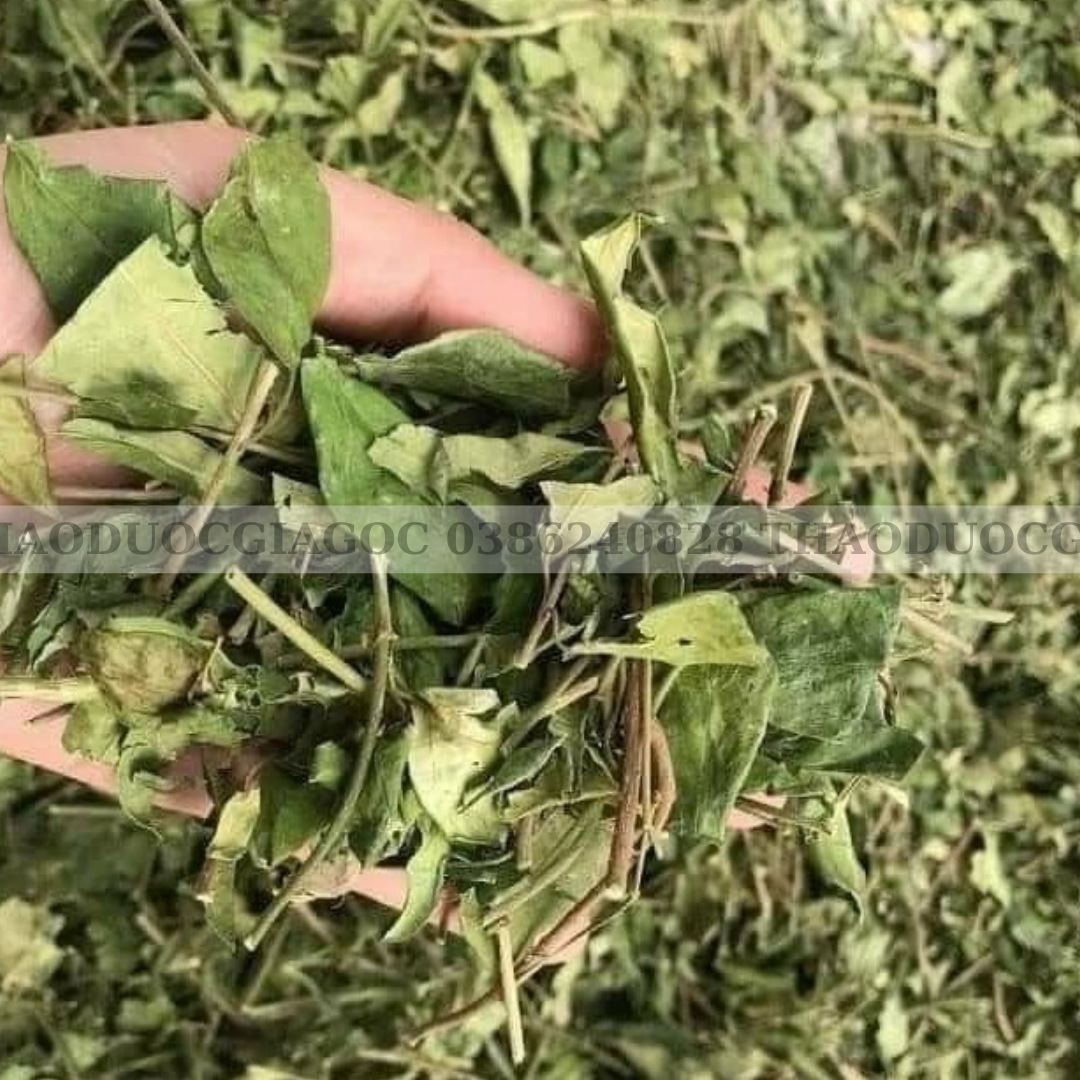 1kg dây thìa canh xanh sạch đẹp.