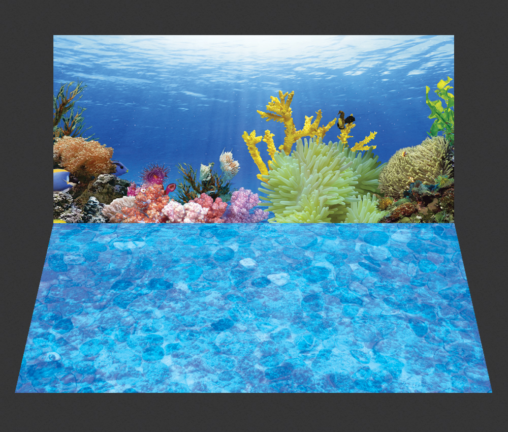 Tranh dán hồ cá HD Cảnh san hô Aquarium tank - 033 mặt lưng và mặt đáy