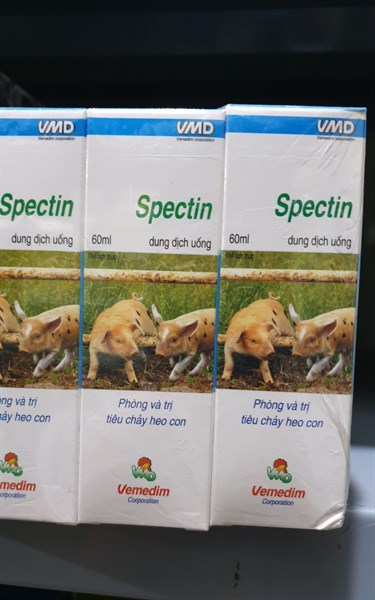 SPECTIN- Tiêu chảy Heo con
