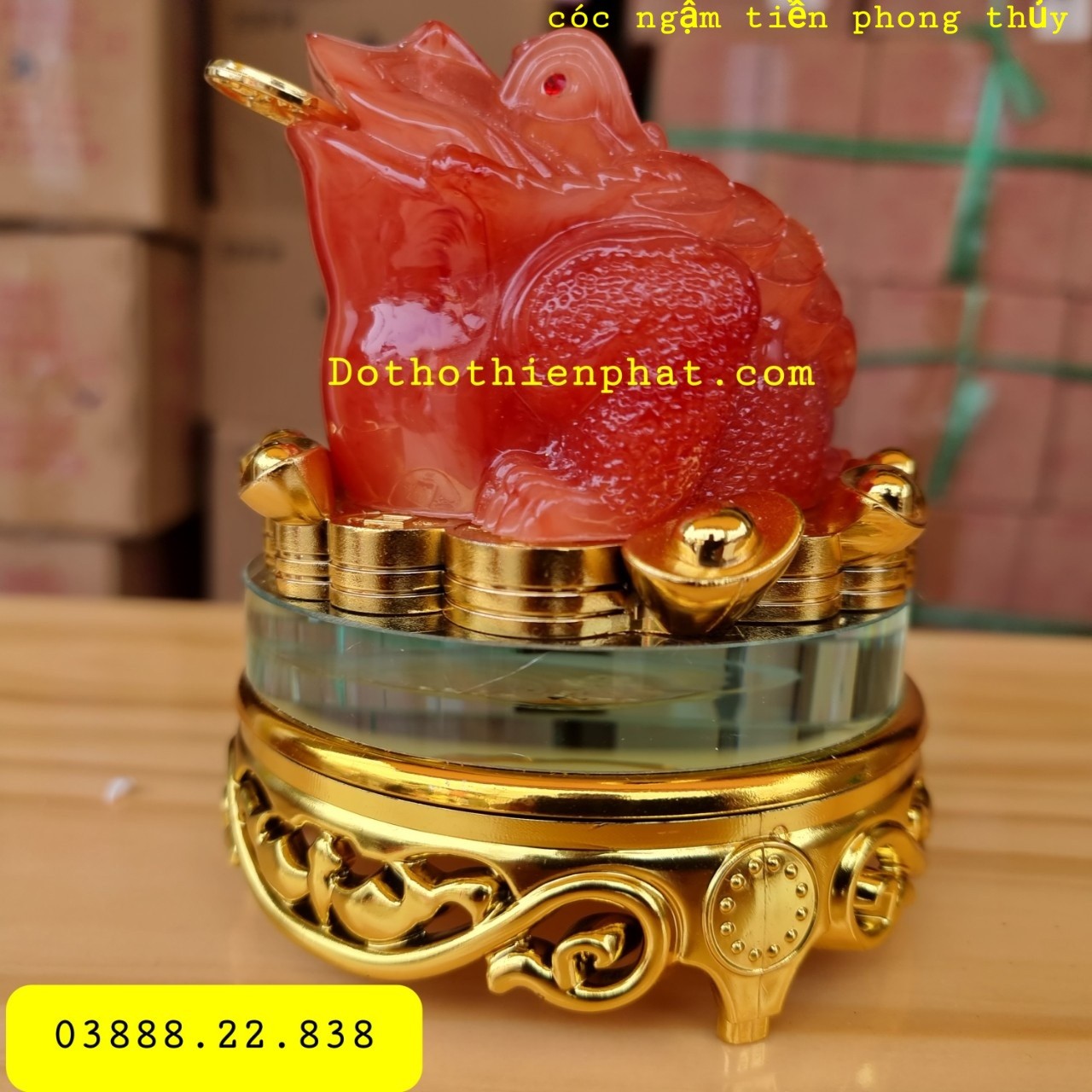 Cóc Ngậm Tiền Phong Thủy Màu Đỏ loại 1