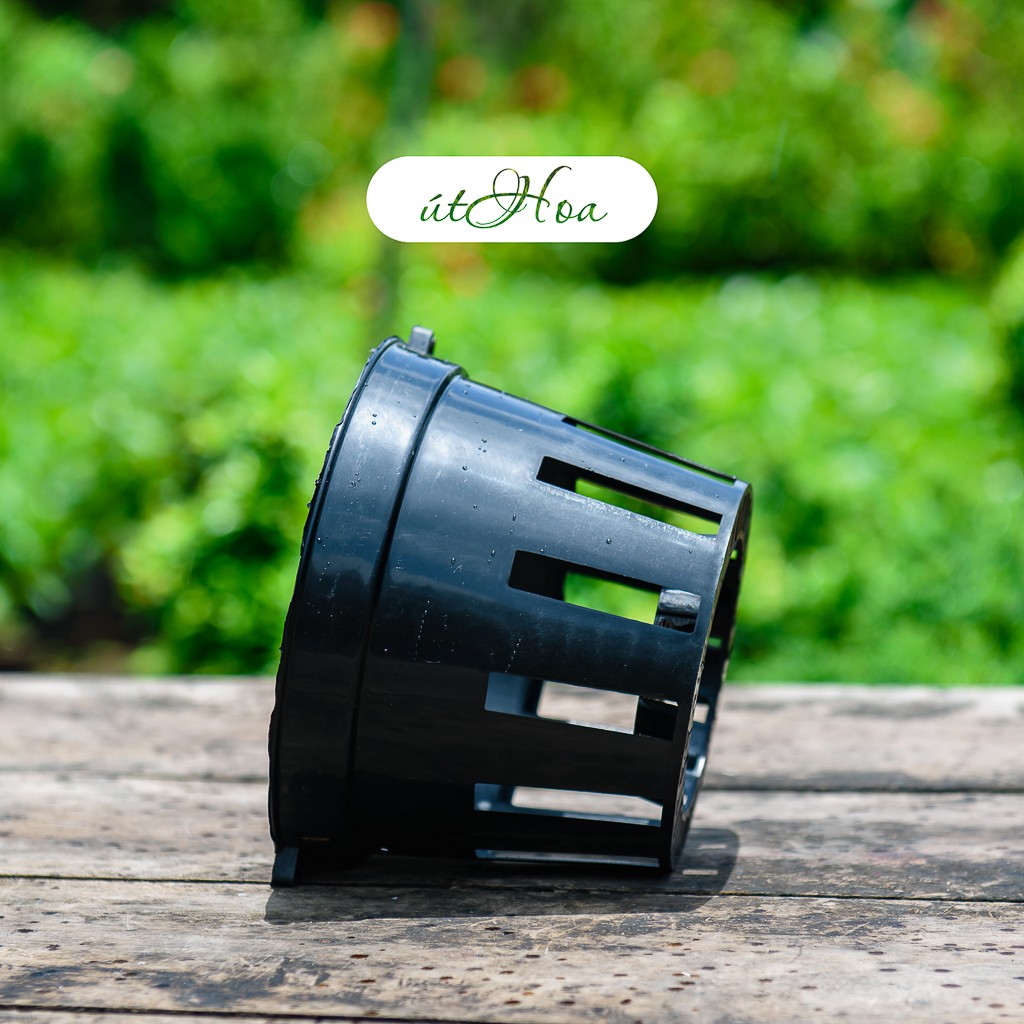 Combo 50 Chậu Trồng Lan Đen Đk 12Cm/14Cm/16Cm