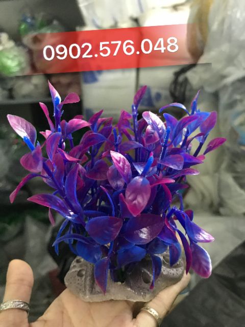 [HCM]Cây nhựa trang trí hồ cá nhỏ
