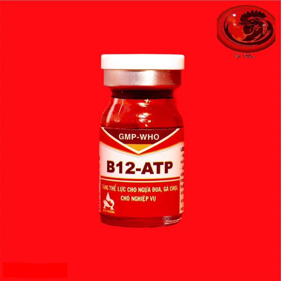 B12 ATP 5ML tăng bo, lì đòn 1h trước đá cho gà đá