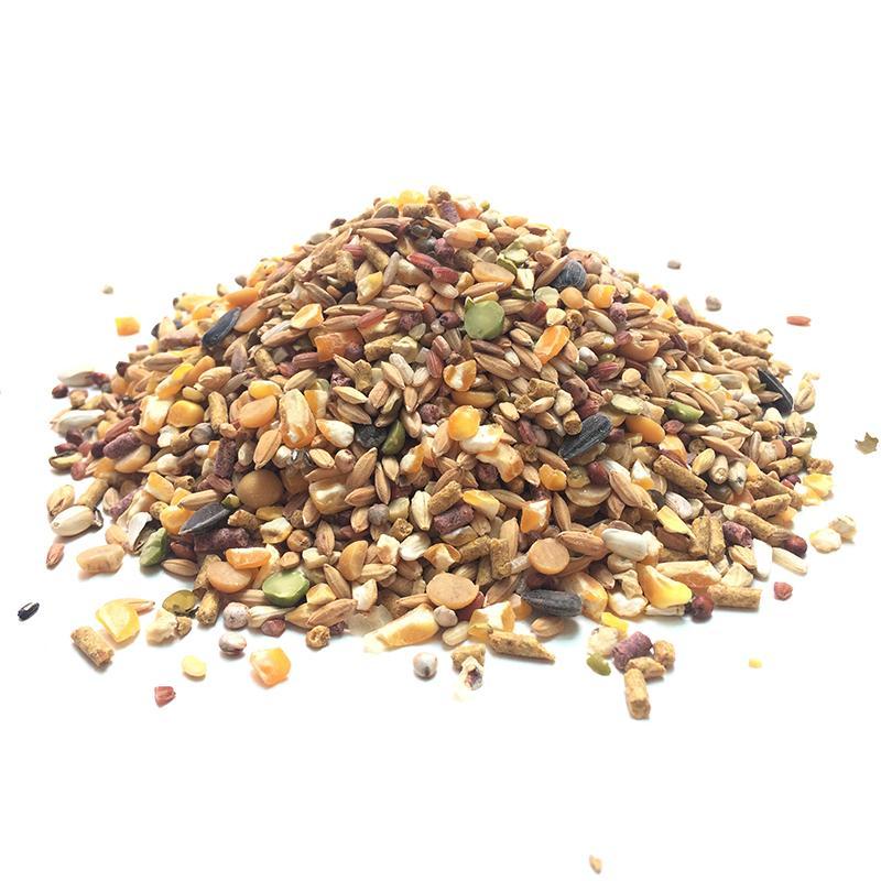 Ngũ cốc cho gia cầm, thức ăn ngũ cốc dinh dưỡng cho gà, bồ câu,...gói 0,5kg - rab.store
