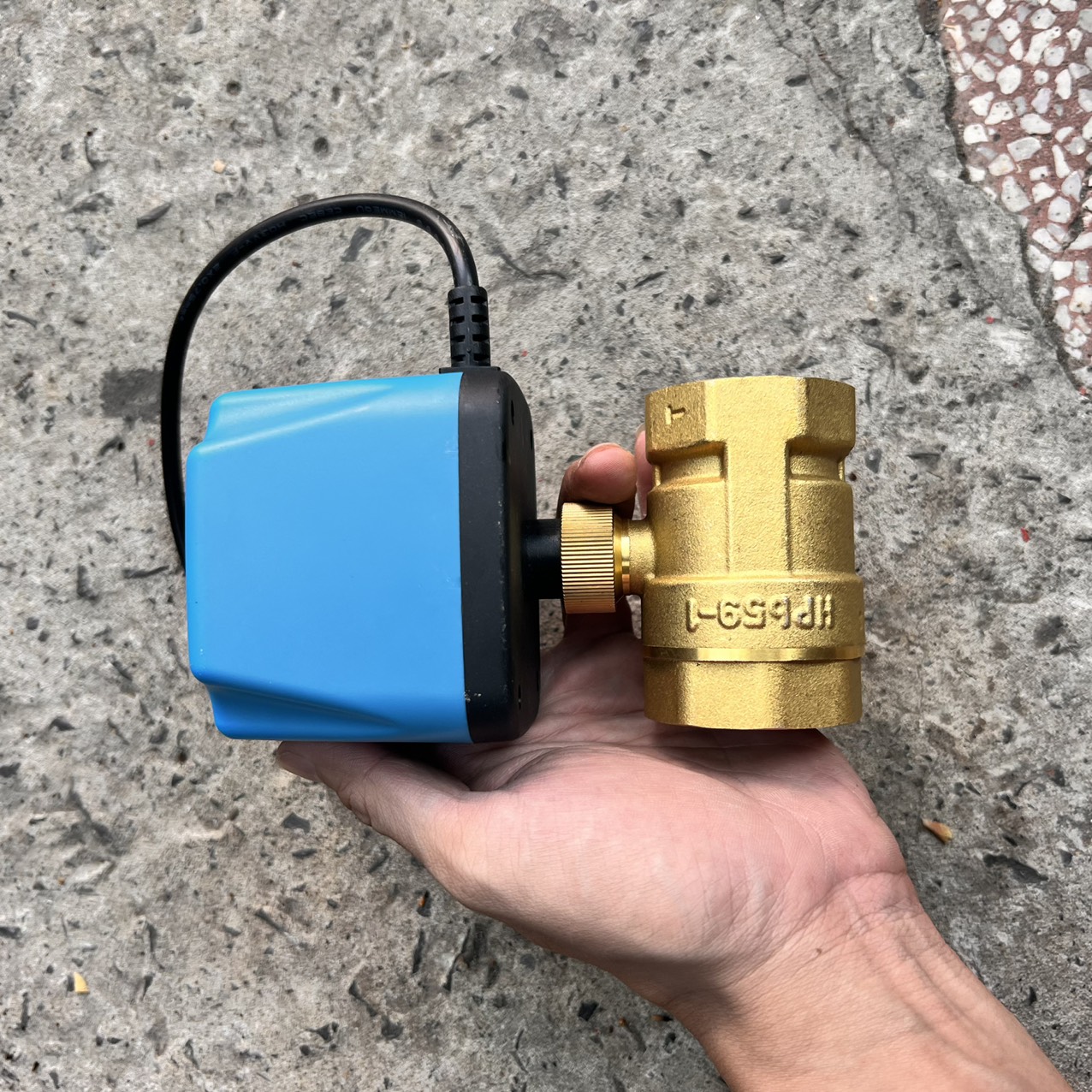 Van điện thường đóng 2 dây BVE