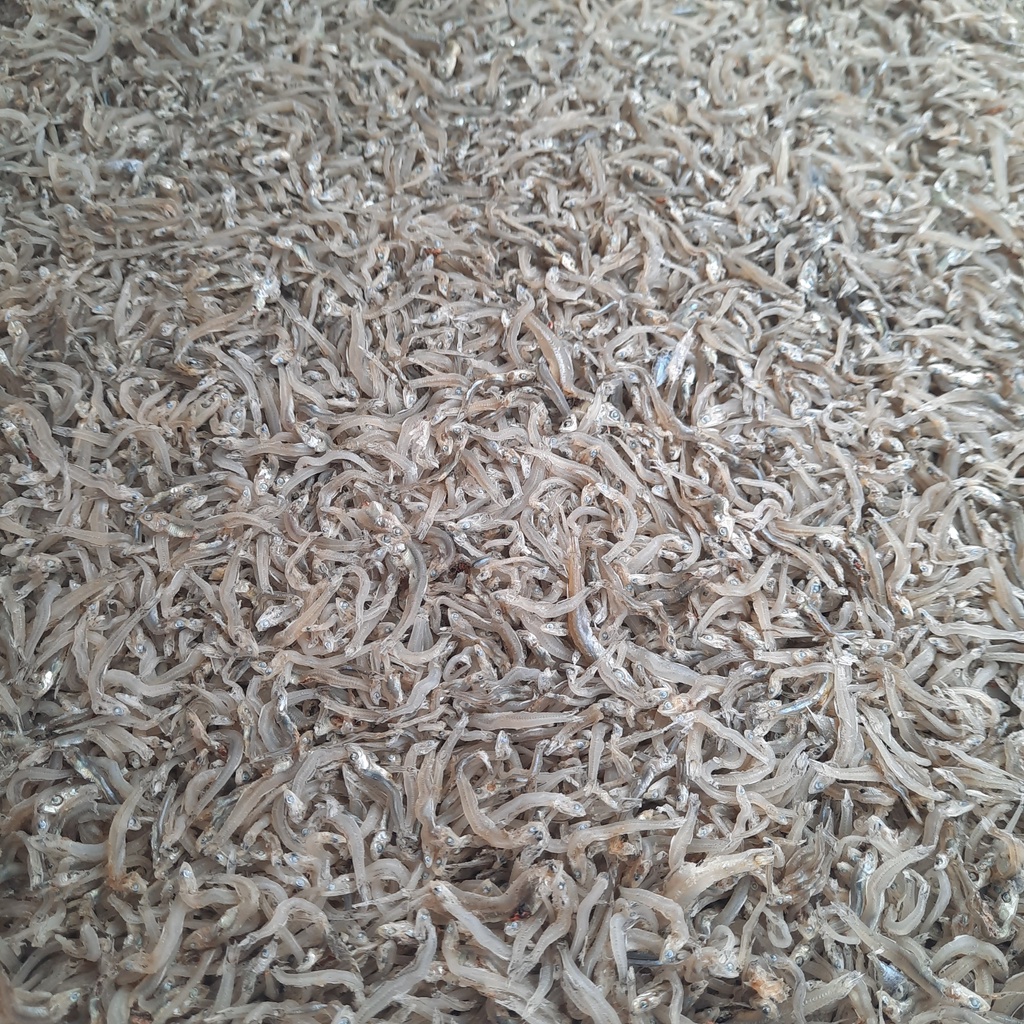 Cá Cơm Mờm Sữa Trắng 1kg - Khô Cá Cơm Đặc Sản Nha Trang