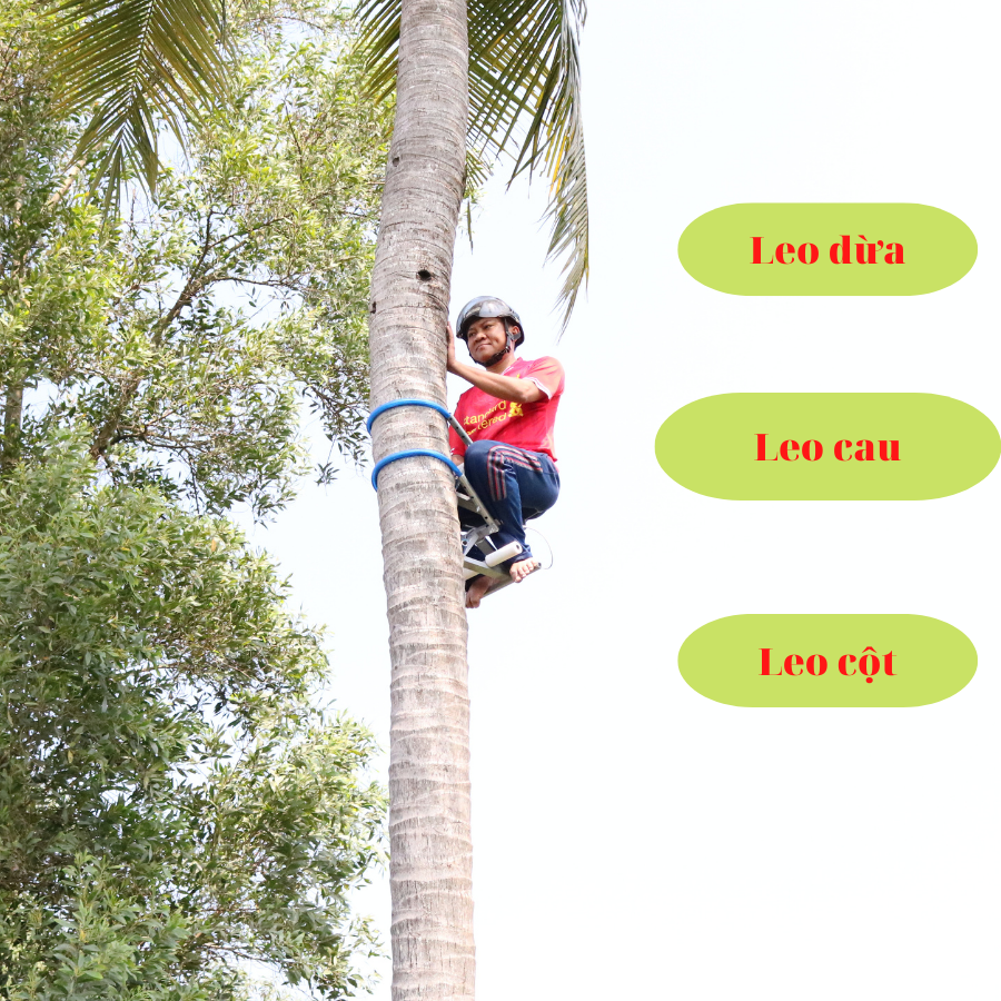 Thiết bị leo dừa, kiểu ngồi siêu khoẻ