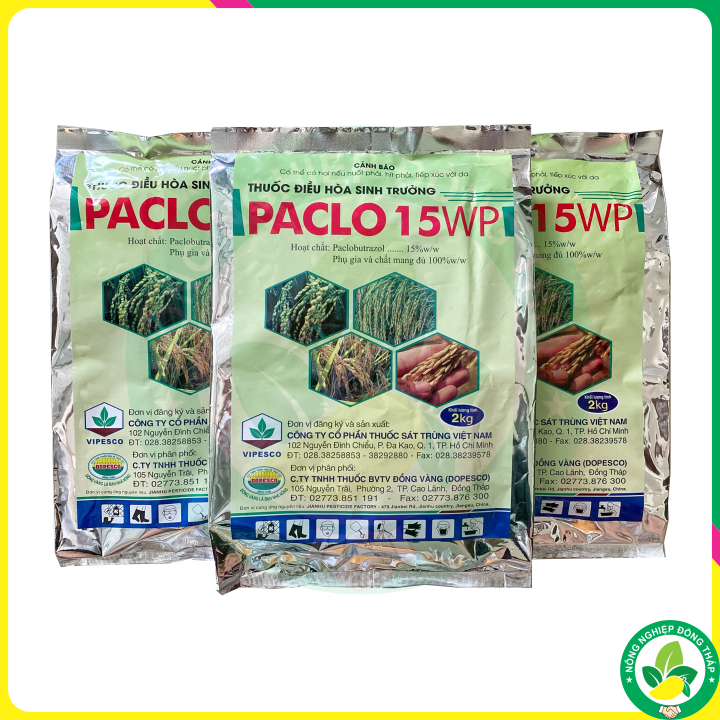 ĐIỀU HÒA SINH TRƯỞNG PACLO 15WP (gói 2kg)
