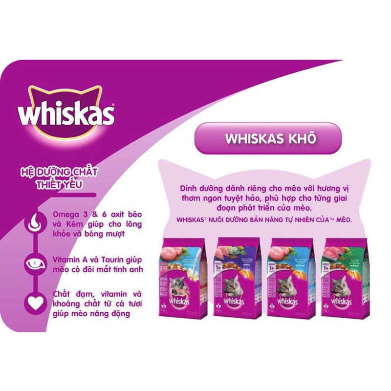 Thức Ăn Cho Mèo Con Dạng Hạt Whiskas Junior Túi 1,1 Kg