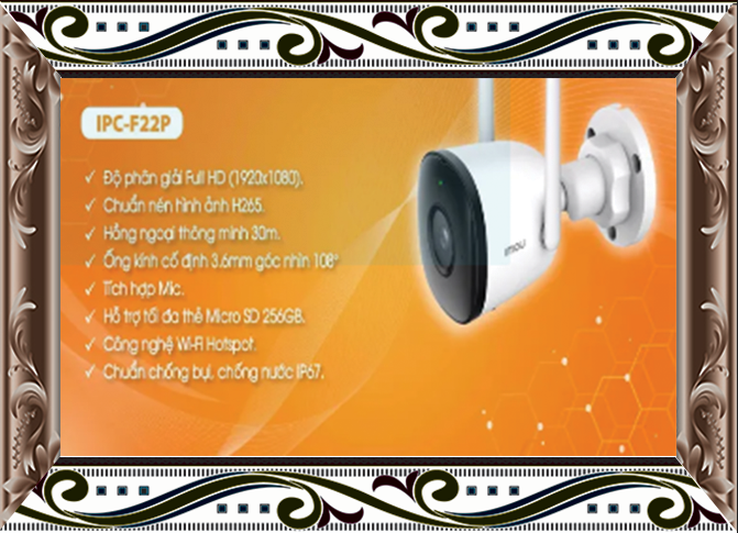Camera Imou F22P Ngoài trời