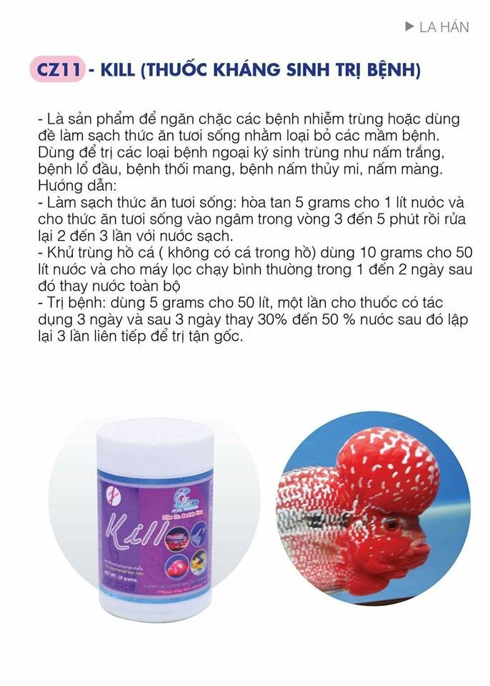 CZ11 KILL - KS Hỗ Trợ Xử Lý Các Vấn Đề của Cá Cảnh (La Hán, Cá Rồng, Guppy....)