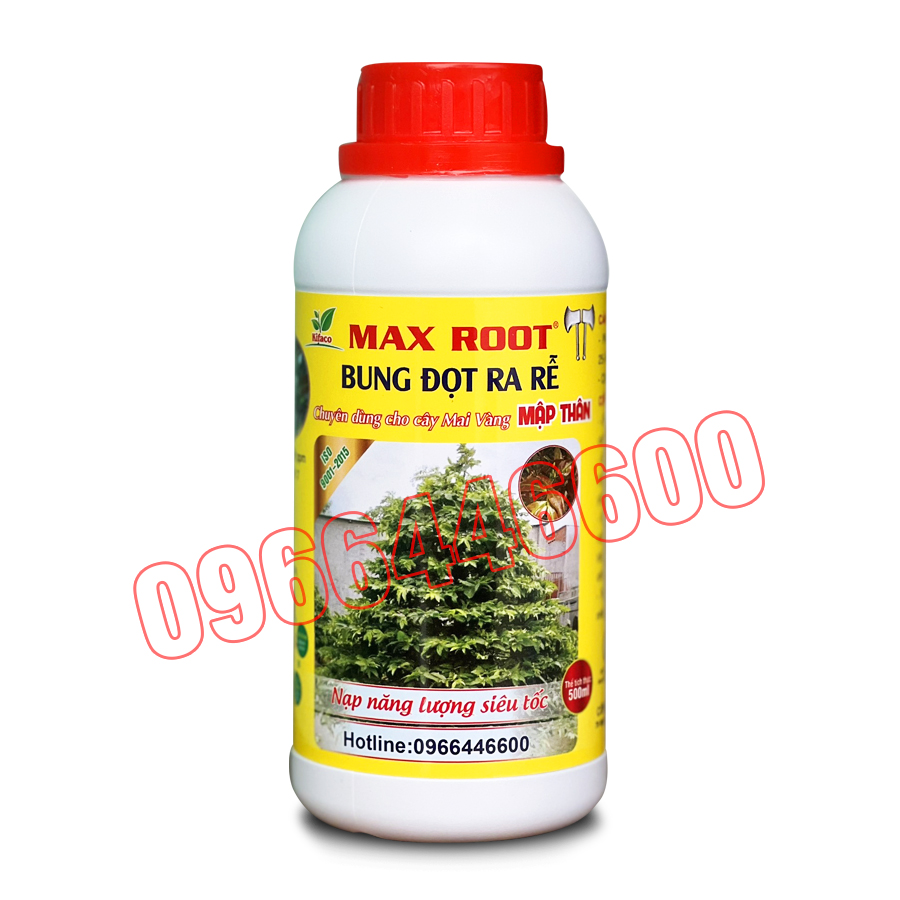 PHÂN BÓN MAI VÀNG - MAX ROOT BUNG ĐỌT RA RỄ MAI VÀNG