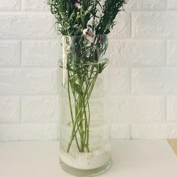 Chậu thủy tinh cắm hoa 12x30cm