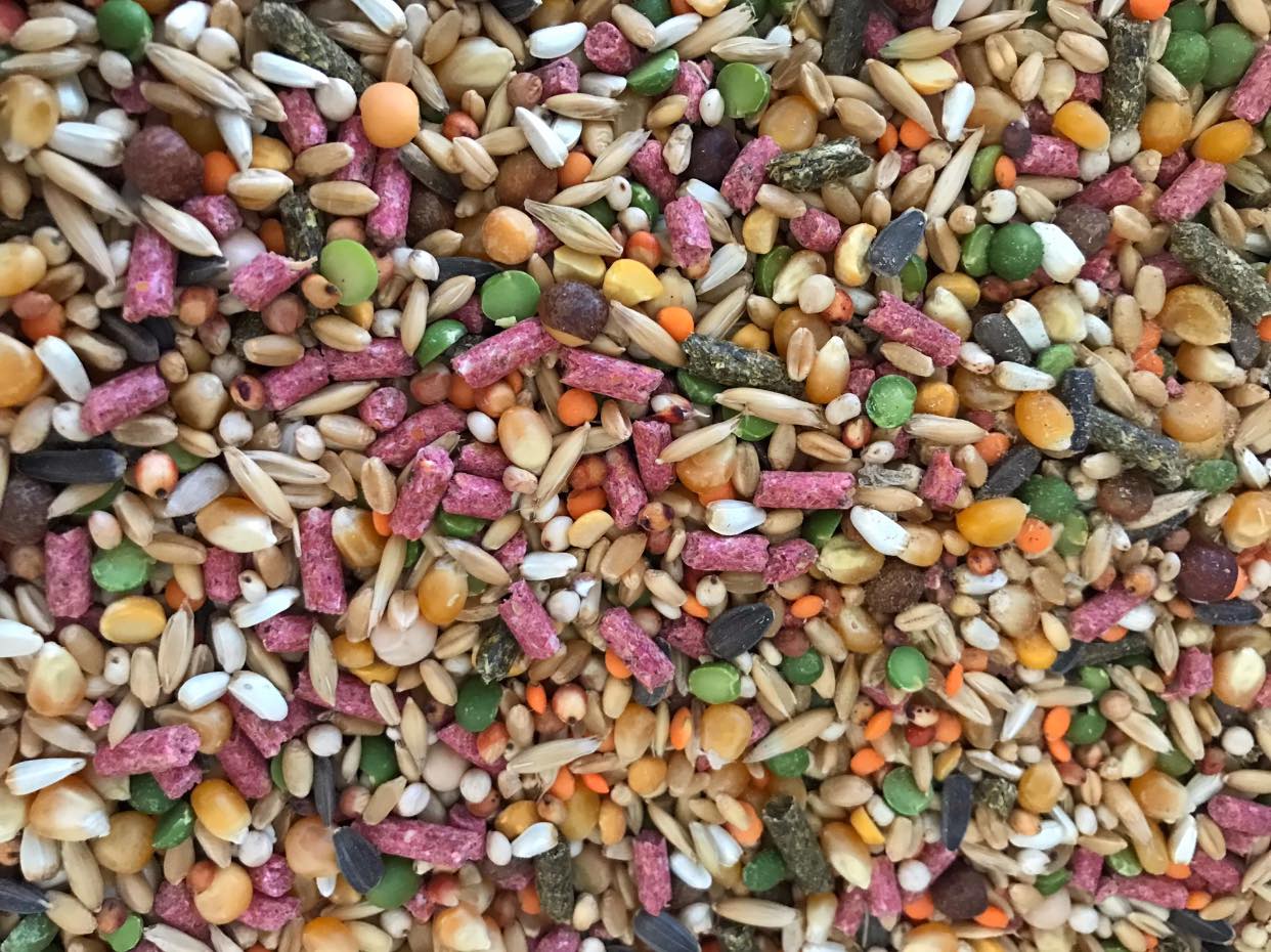 [HCM]Ngũ cốc xay ép cám viên dành cho gà đá (1kg)