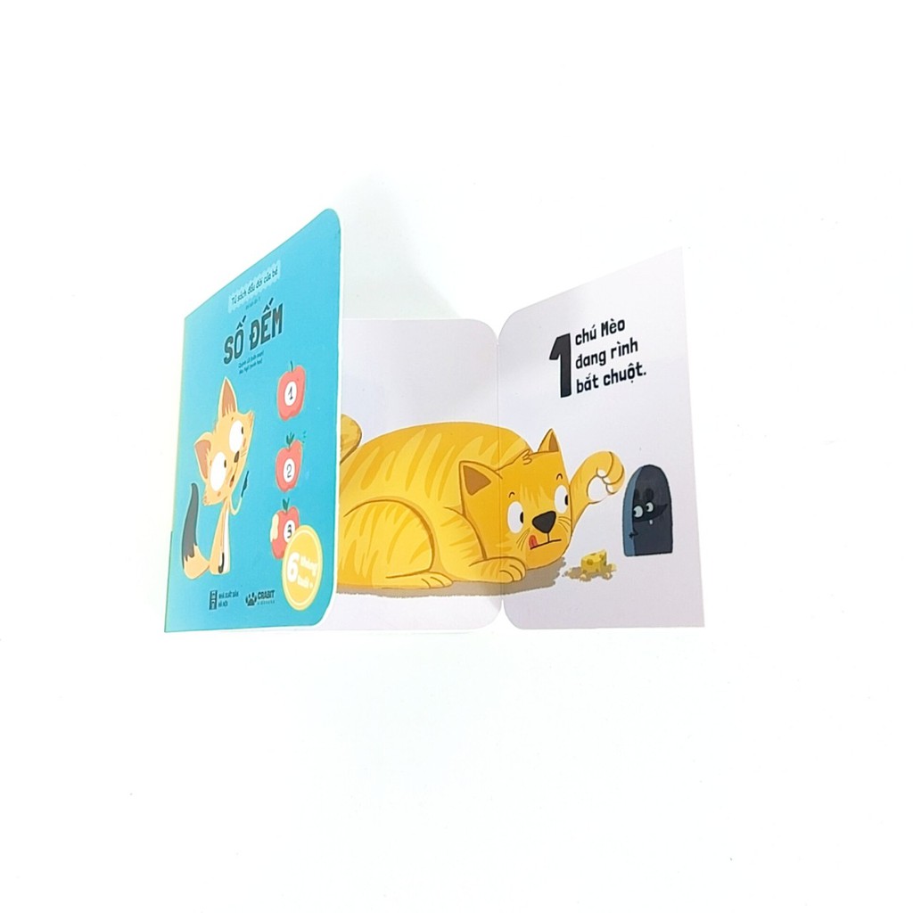 Sách - Tủ sách đầu đời cho bé 6 cuốn ( dành cho bé 6 tháng tuổi)