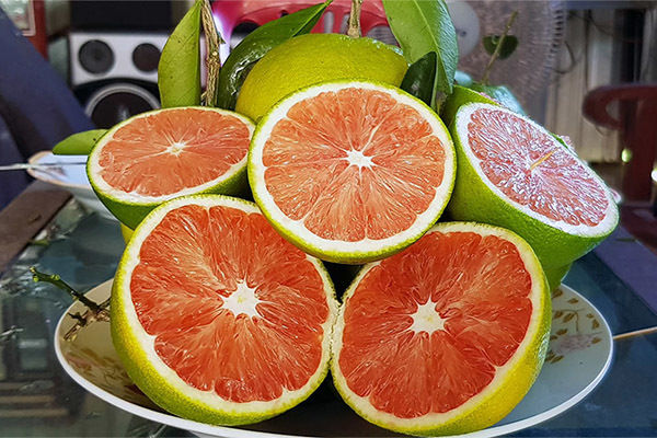 CAM CARA (CAM RUỘT ĐỎ) KHÔNG HẠT