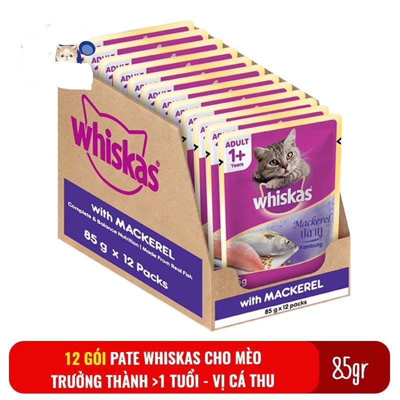combo 12 gói bate whiskat cho mèo lớn (vị cá thu)