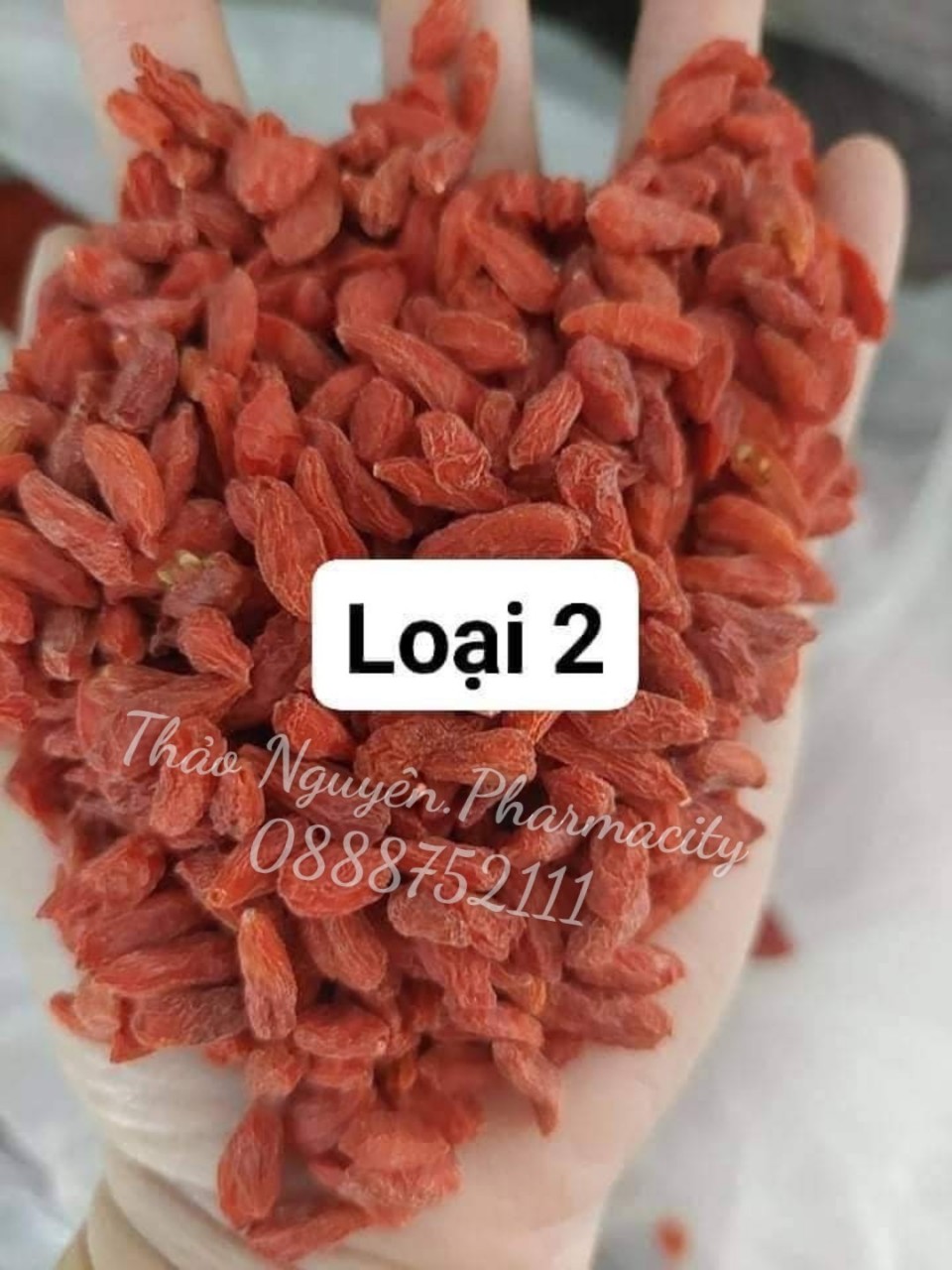 Kỷ tử sấy khô Tây Bắc