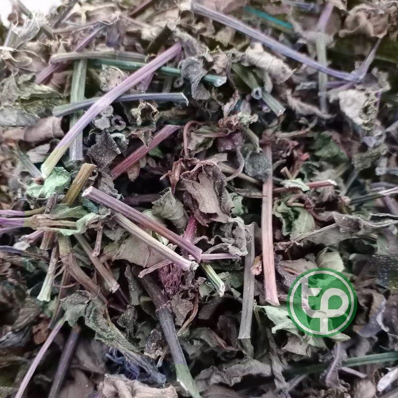 Cây sài đất sấy khô 500g - Hàng sạch thơm cao cấp - Thảo Dược Tấn Phát