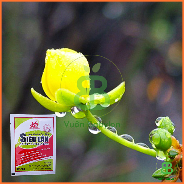 Phân Bón Lá Cao Cấp Siêu Lân Hà Lan 15GR