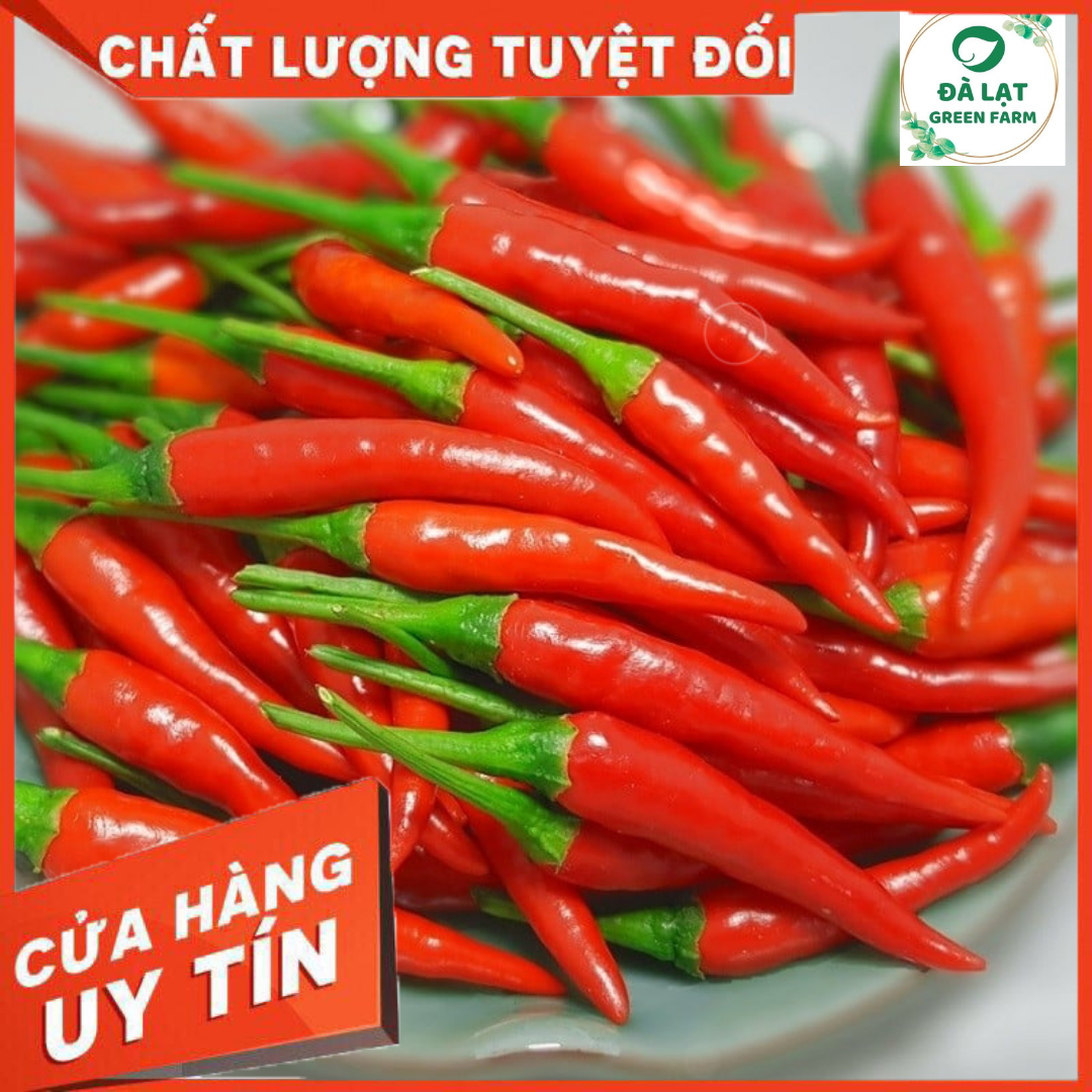 30H_HẠT GIỐNG ỚT HIỂM (SIÊU TRÁI)