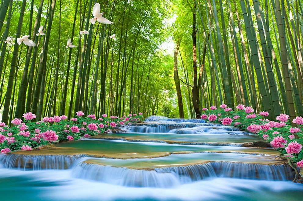 20 khu rừng đẹp nhất thế giới khiến bạn quên lối về