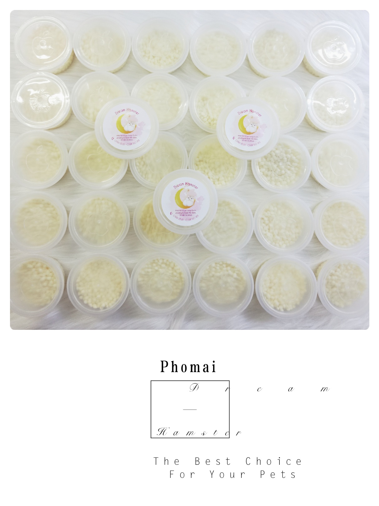Phô mai cho Hamster (30gr)