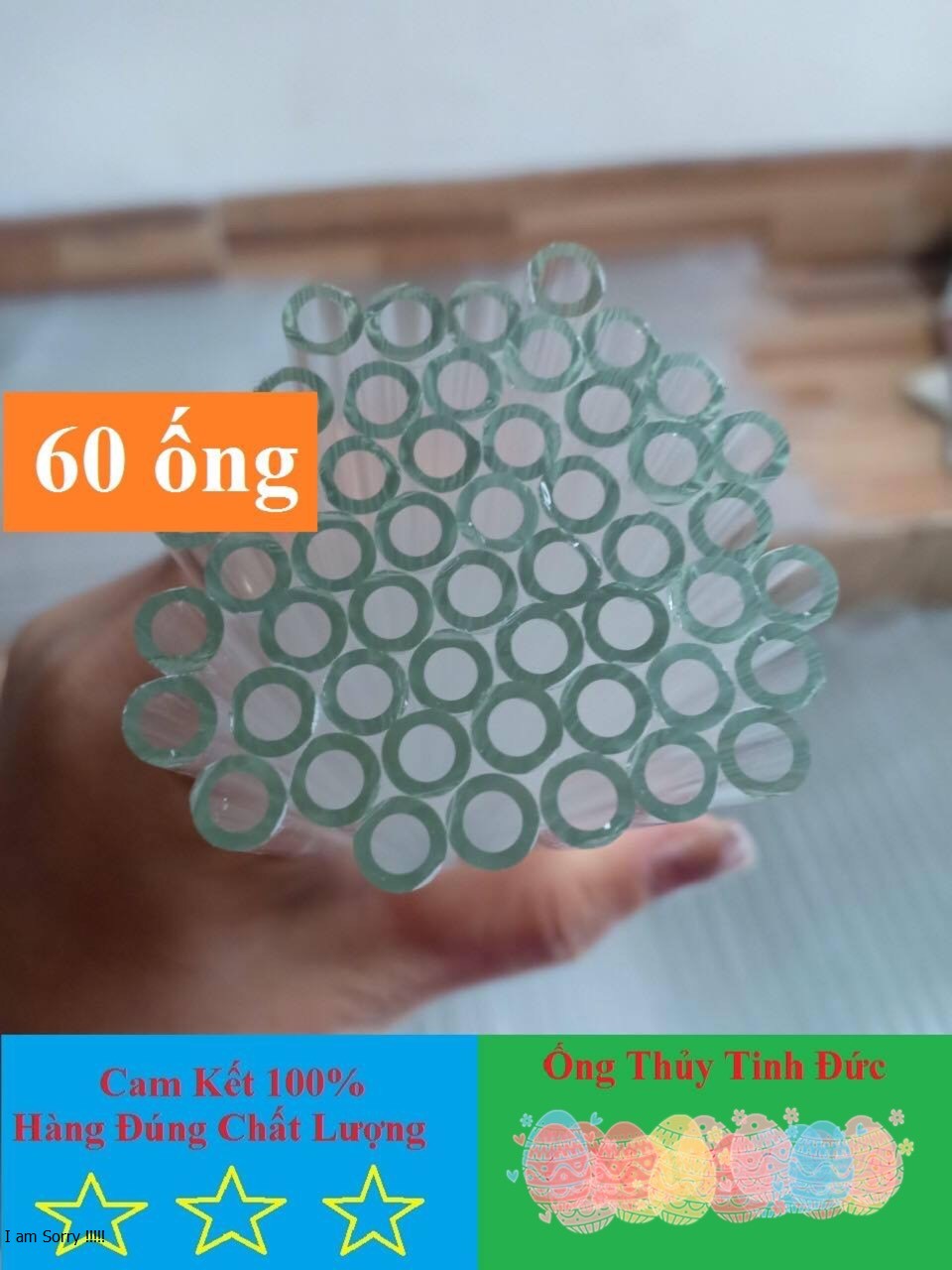ống thuỷ tinh (60 ống dài 20cm)